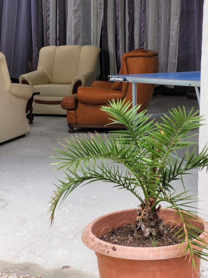 Studio Sequoia Au Pied Du Chateau Saumur Exteriér fotografie